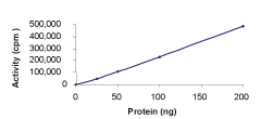 Functional Studies - Recombinant human RSK1 p90 protein (AB60880)