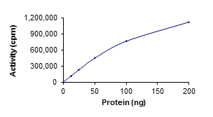 Functional Studies - Recombinant human RSK1 p90 protein (AB60880)