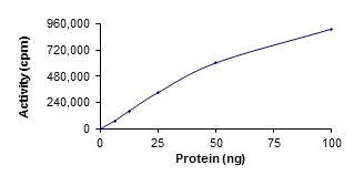 Functional Studies - Recombinant human RSK3 protein (AB60882)