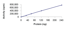 Functional Studies - Recombinant human RSK3 protein (AB60882)