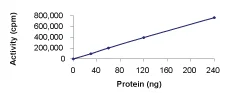 Functional Studies - Recombinant human RSK3 protein (AB60882)