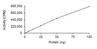 Functional Studies - Recombinant human RSK4 protein (Active) (AB85296)