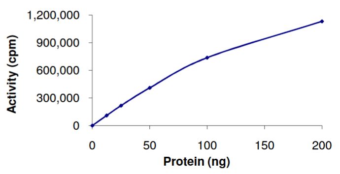 Functional Studies - Recombinant human S6K1 protein (Tagged-His Tag) (AB268834), expandable thumbnail