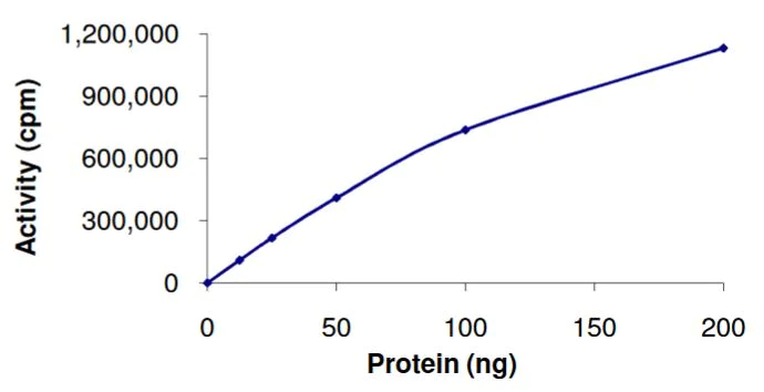 Functional Studies - Recombinant human S6K1 protein (Tagged-His Tag) (AB268834)