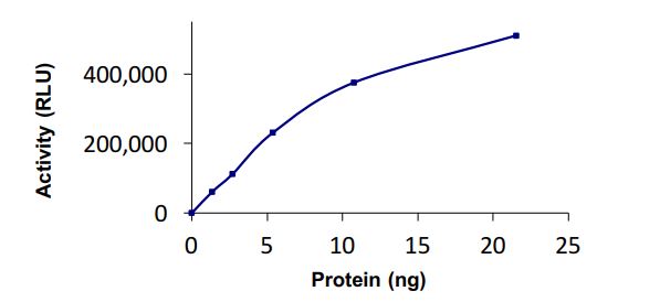 Functional Studies - Recombinant human SAE1 + UBA2 protein (Active) (AB268952), expandable thumbnail
