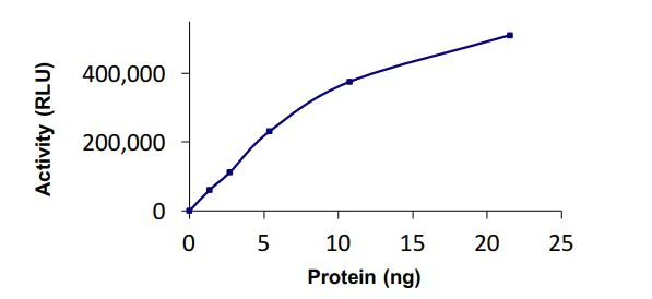 Functional Studies - Recombinant human SAE1 + UBA2 protein (Active) (AB268952)