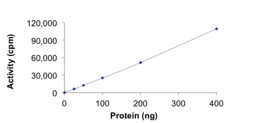 Functional Studies - Recombinant human SBK1 protein (AB204137)