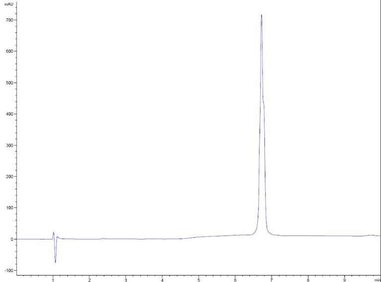 HPLC - Recombinant human SCF protein (Active) (AB259391)