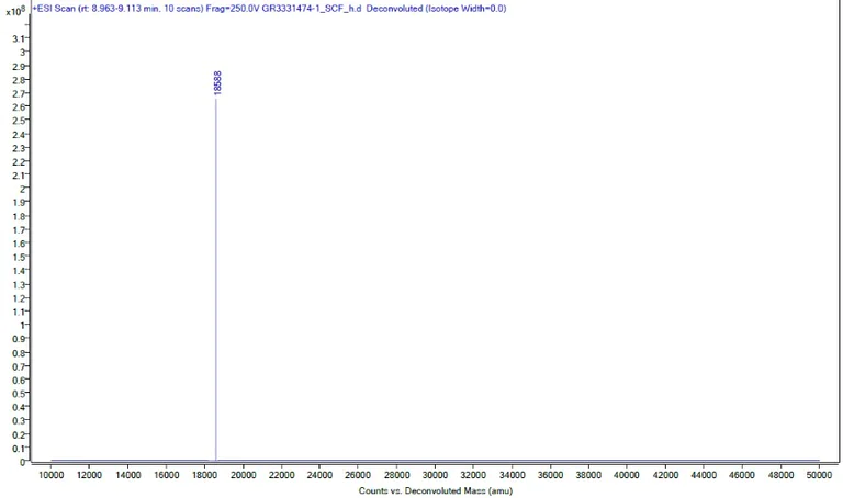 Mass Spectrometry - Recombinant human SCF protein (Active) (AB259391)