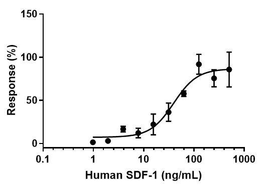 Functional Studies - Recombinant human SDF1 protein (Active) (AB259416)