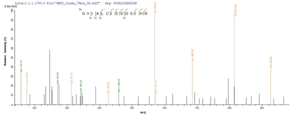 Mass Spectrometry - Recombinant Human SDHA protein (Tagged) (AB226268)