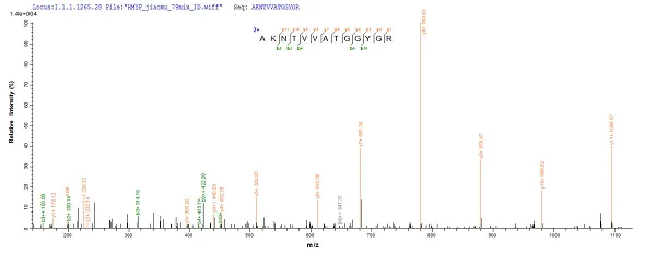 Mass Spectrometry - Recombinant Human SDHA protein (Tagged) (AB226268)