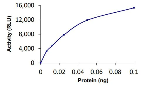Functional Studies - Recombinant human SENP1 protein (Active) (AB268953)