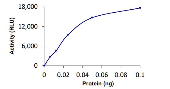 Functional Studies - Recombinant human SENP2 protein (Active) (AB268954), expandable thumbnail