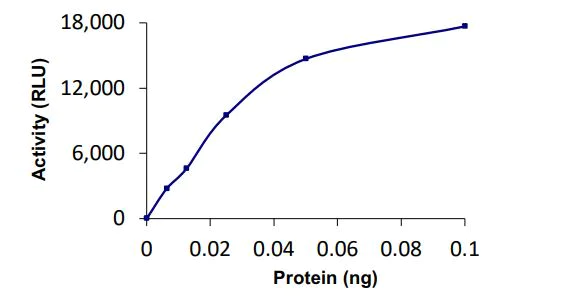 Functional Studies - Recombinant human SENP2 protein (Active) (AB268954)