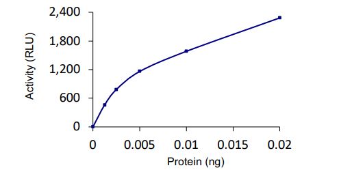 Functional Studies - Recombinant human SENP8 protein (Active) (AB268955)