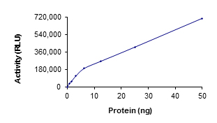 Functional Studies - Recombinant human Serine/threonine-protein kinase 4/MST-1 (AB60337), expandable thumbnail