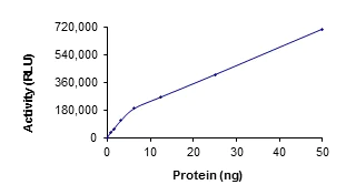 Functional Studies - Recombinant human Serine/threonine-protein kinase 4/MST-1 (AB60337)