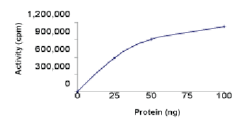 Functional Studies - Recombinant human Serine/threonine-protein kinase 4/MST-1 (GST tag N-Terminus) (AB60337)