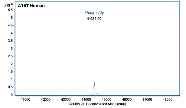 Mass Spectrometry - Recombinant Human Serpin A1/alpha-1-Antitrypsin Protein (AB283932)