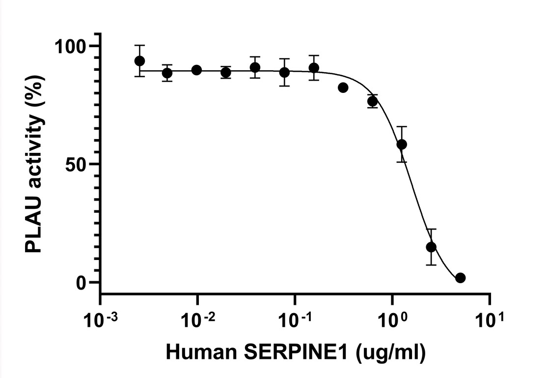 Biological Activity - Recombinant Human SERPINE1 Protein (Active) (AB282405), expandable thumbnail