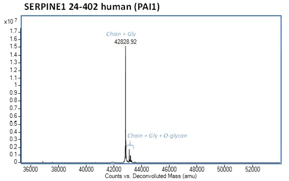 Mass Spectrometry - Recombinant Human SERPINE1 Protein (Active) (AB282405)