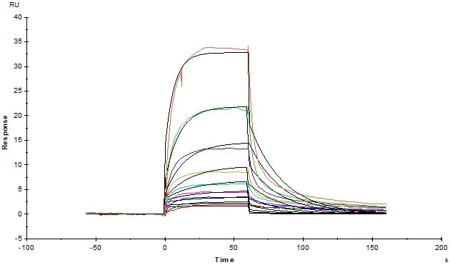 Biological Activity - Recombinant Human Serum Albumin protein (His tag) (AB217817)