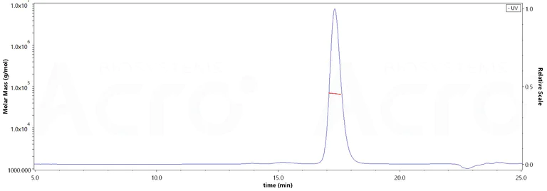 Size Exclusion Chromatography - Recombinant Human Serum Albumin protein (His tag) (AB217817)