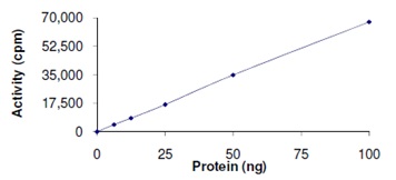 Functional Studies - Recombinant human SET7 protein (AB167960), expandable thumbnail