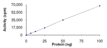 Functional Studies - Recombinant human SET7 protein (AB167960)