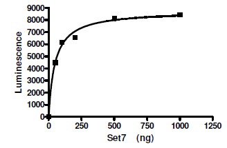Recombinant human SET7 protein