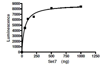 Functional Studies - Recombinant human SET7 protein (AB198126)