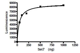 Functional Studies - Recombinant human SET7 protein (His tag N-Terminus + GST tag N-Terminus) (AB198126)