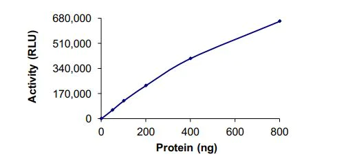 Functional Studies - Recombinant human SETD6 protein (Active) (AB268960)