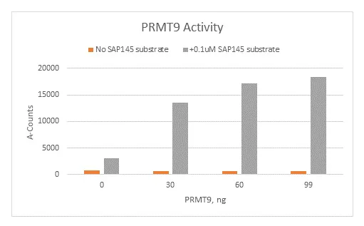 Functional Studies - Recombinant human SF3B2 protein (Active) (GST tag N-Terminus) (AB271736)