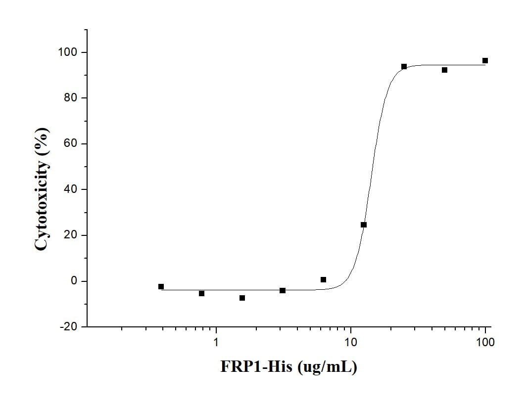 Recombinant human SFRP1 protein (His tag)