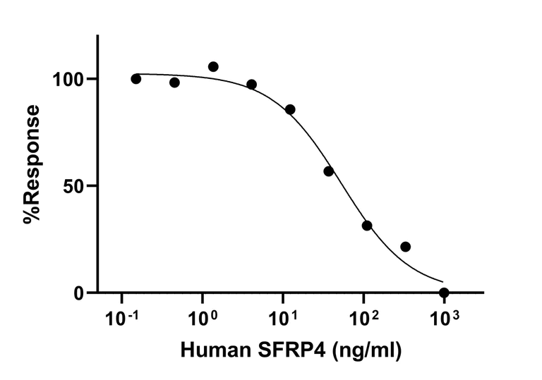 Biological Activity - Recombinant Human SFRP4 protein (Active) (AB288790)