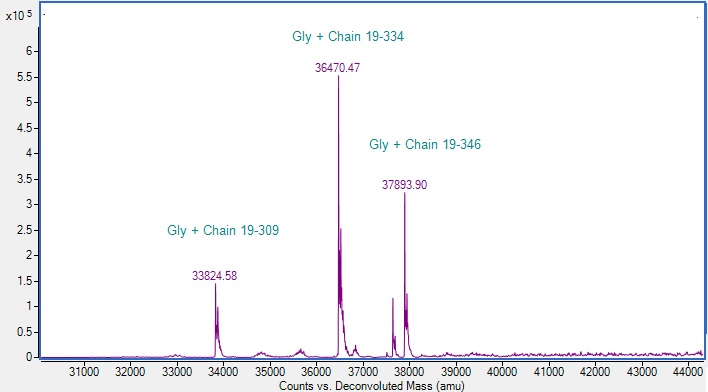 Mass Spectrometry - Recombinant Human SFRP4 protein (Active) (AB288790)