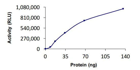 Functional Studies - Recombinant human SFT protein (Active) (AB269096)