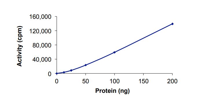 Functional Studies - Recombinant human SGK protein (Active) (AB268963), expandable thumbnail
