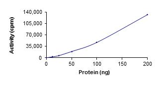 Functional Studies - Recombinant human SGK1 protein (AB60883)