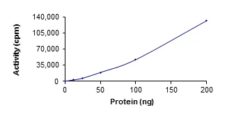 Functional Studies - Recombinant human SGK1 protein (AB60883)