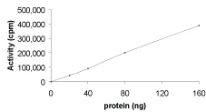 Functional Studies - Recombinant human SGK1 protein (AB60883)