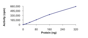 Biological Activity - Recombinant human SGK2 protein (Active) (AB261921), expandable thumbnail