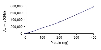 Functional Studies - Recombinant human SGK3 protein (AB55673), expandable thumbnail
