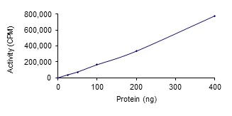 Functional Studies - Recombinant human SGK3 protein (AB55673)