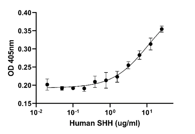 Biological Activity - Recombinant Human SHH protein (Active) (AB288810)