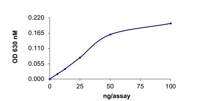 Functional Studies - Recombinant human SHIP-1 protein (Active) (AB268967)