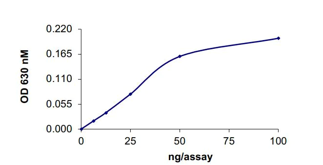 Functional Studies - Recombinant human SHIP-1 protein (Active) (AB268967)