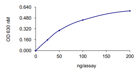 Recombinant human SHP1 protein